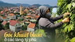 Xót xa với cảnh hoang tàn, ảm đạm của những làng, xã từng giàu nhất Việt Nam