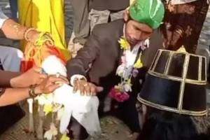 Người đàn ông Indonesia kết hôn với dê cái và sự thật ẩn chứa phía sau