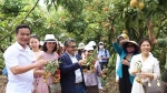 Đại sứ các nước thăm vùng trồng vải Thanh Hà - Hải Dương
