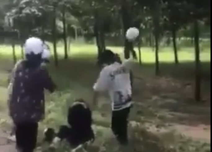 Phẫn nộ nữ sinh bị đánh hội đồng bằng gậy, mũ bảo hiểm ở Đồng Nai - Ảnh 1.