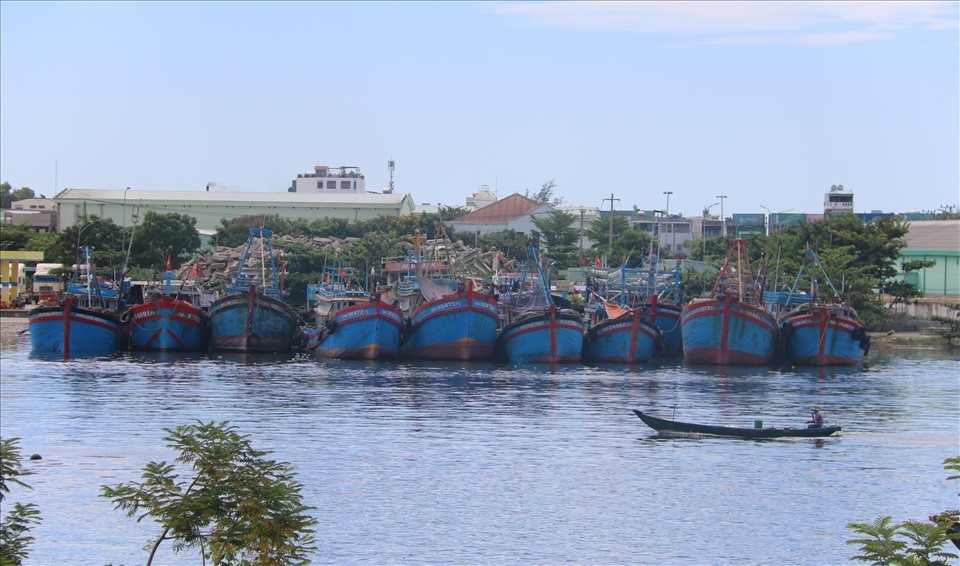 Giá xăng dầu tăng khiến hoạt động đánh bắt hải sản của ngư dân vốn đã khó khăn nay càng khó khăn hơn. Ảnh: Thanh Chung