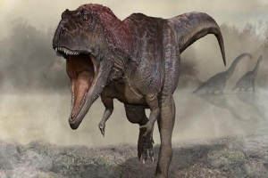 Đào được loài khủng long khổng lồ chưa từng thấy trên thế giới