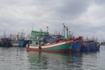 Vụ 'khai tử' 19 tàu cá Khánh Hòa: Ngành thủy sản nói gì?