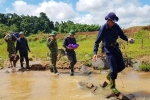 Phát hiện 4 hài cốt liệt sĩ tại khu vực ruộng lúa ở Quảng Trị