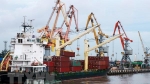 Xây cảng biển đón tàu trọng tải 300.000 DWT ở Nam Định có khả thi?