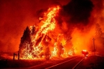 Cháy rừng lan như 'bùng nổ' ở California, hơn 6.000 người sơ tán