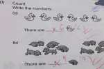 Bài toán tiểu học yêu cầu đếm vịt và chó khiến cộng đồng mạng tranh cãi