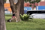 Cô gái bị đàn rái cá rượt đuổi 'chạy té khói' trong công viên