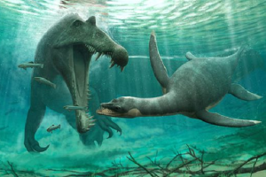 Kinh hãi hài cốt 'quái vật hồ Loch Ness' dài 3m dưới sông Morocco