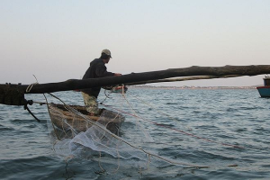 Bất ngờ về cái chết của 2 cha con ngư dân trong vụ chìm thuyền thúng ở Bình Định