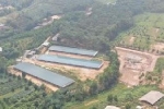 Kiểm tra, xử lý vụ đất rừng bị 'hô biến' thành trang trại ở Phú Thọ