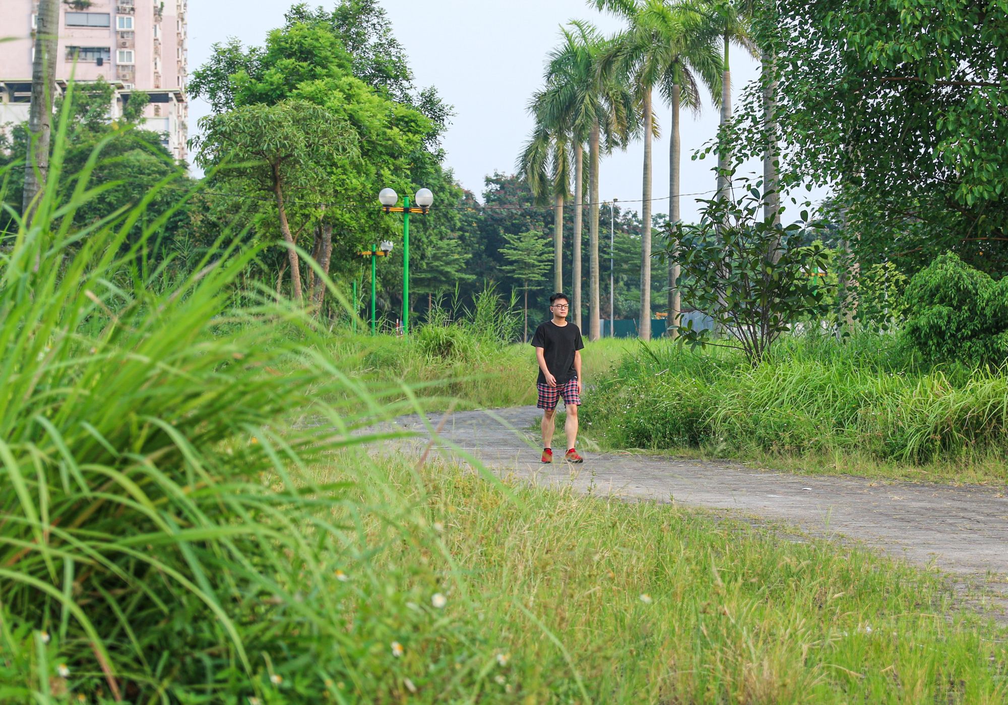 Công viên 16 ha ở Hà Nội bỏ hoang thành nơi trồng rau, đánh cá  - Ảnh 12.