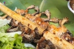 Ăn món thủy sản nhiều người mê, thanh niên Hà Nội bị 'vật thể lạ' chui vào vùng kín rồi chu du khắp bụng