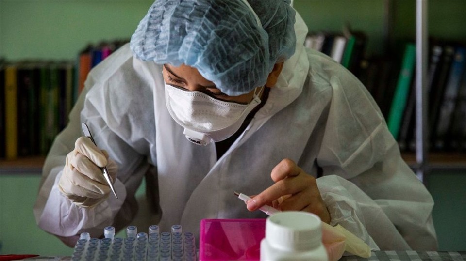 Trung Quốc phát hiện virus mới lây từ động vật sang người