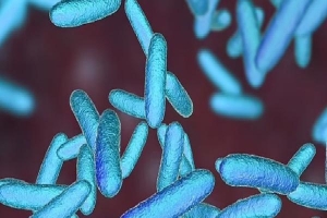 Phát triển thuốc mới chống được 300 loại vi khuẩn kháng kháng sinh