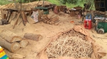 Gia Lai: Pháthiện một xưởng gỗ hoạt động trái phép tại xã biên giới Ia Nan
