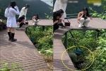 Cô gái trẻ mải quay clip TikTok suýt lăn xuống núi lên tiếng kêu cứu, bạn thân đi cùng ngỡ ngàng: 'Đúng là bị ngã thật này'