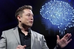 Thất vọng với thiết bị đọc não, Musk muốn mua công ty mới