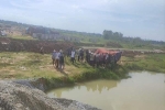 Đi tắm tại khu dự án Nam Vĩnh Yên, 3 học sinh tử vong, 1 em cấp cứu