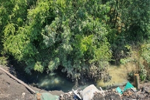Vụ chôn lấp chất thải ở Bình Dương: Dân không phản ánh nên địa phương không biết (!?)