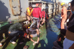 8 người Myanmar trôi dạt trên biển được đưa vào Bà Rịa - Vũng Tàu