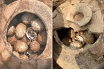 Mở mộ cổ, chuyên gia sững người thấy trứng ngàn năm tuổi
