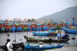 Hơn 4.000 tàu cá vào âu thuyền ở Đà Nẵng trú bão Noru