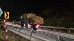 Hiểm hoạ từ các xe chở gỗ quá khổ trên cao tốc Bắc Giang - Lạng Sơn