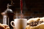 Giá cà phê hôm nay 29/9: Dao động ở mức 46.400 - 47.000 đồng/kg