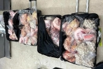 Bị phạt hơn 12.000 USD vì mang 8 vali thịt đến sân bay Singapore