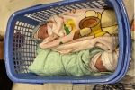 Hai bé gái sơ sinh bị bỏ lại trong giỏ ven đường vành đai 3