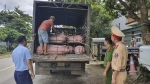 Lai Châu: Tài xế vận chuyển động vật không có chứng nhận kiểm dịch bị phạt 7 triệu