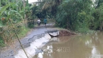 Tiền Giang: Bờ sông Ba Rày tiếp tục sạt lở nghiêm trọng