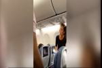 Nữ hành khách bị đuổi xuống máy bay vì mang thú cưng