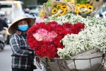 Hoa tươi 20/10: Shop tăng giá gấp đôi vẫn đắt hàng, gánh hoa rong thu cả chục triệu đồng mỗi ngày