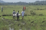 Phát hiện thi thể không quần áo giữa cánh đồng ở TP Bà Rịa