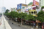 Tranh cãi đề xuất di dời 80 cây hoa sữa trên đường Nguyễn Chí Thanh