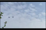 Clip: Người dân thích thú ghi lại cảnh hàng loạt máy bay các loại diễn tập trên bầu trời thủ đô