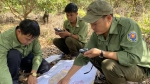 Gia Lai: Rừng trên giấy - nguy cơ lao lý cho nhân viên bảo vệ rừng