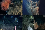 Sự thật choáng váng về hàng ngàn 'hồn ma' cạnh xác tàu Titanic