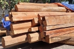 Điện Biên: Xác minh hơn 26m3 gỗ cất giấu trái phép