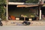 Thông tin mới nhất về vụ người đàn ông bị đâm gục bên vệ đường ở Thái Nguyên