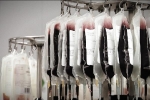 Tiết lộ mới về vụ 30.000 người bị truyền máu nhiễm HIV ở Anh