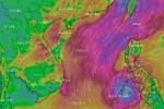 Dự báo diễn biến bão, áp thấp nhiệt đới trong một tháng tới