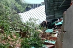 Phú Yên: Mưa lớn gây sạt lở, sập tường nhà dân khiến 2 người bị thương