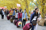 Nhiều trường đại học cho sinh viên nghỉ Tết Nguyên đán hơn 3 tuần