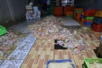 Phát hiện cơ sở giết mổ hơn 2 tấn gà chết làm giò chả ở Đồng Nai