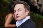 Nhân viên lũ lượt rời Twitter vì Elon Musk