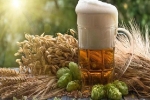 'Thần dược' trong.. ly bia bất ngờ chống được căn bệnh không thuốc chữa