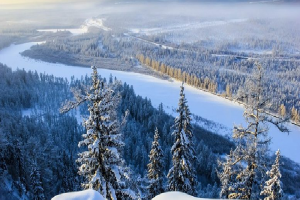 'Thây ma' Siberia hồi sinh sau 50.000 năm đóng băng: Cảnh báo rùng mình
